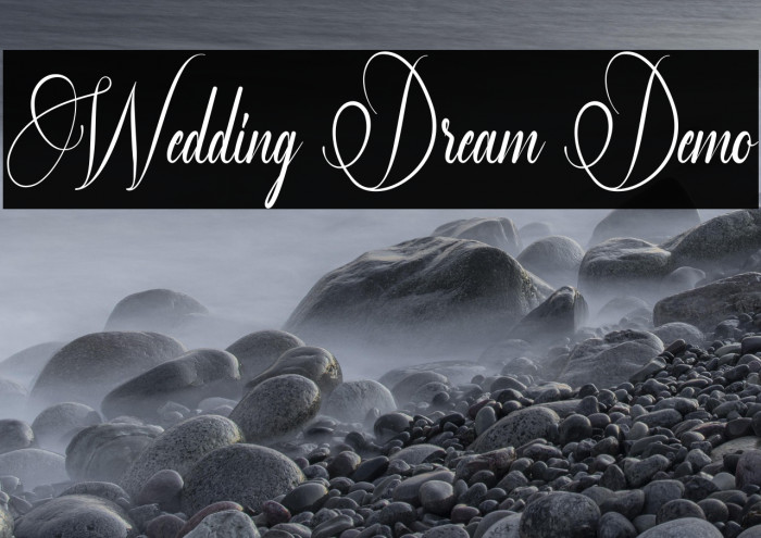 Wedding Dream Demo Example 2