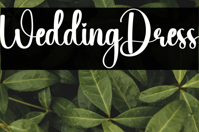 Wedding Dress Example 2