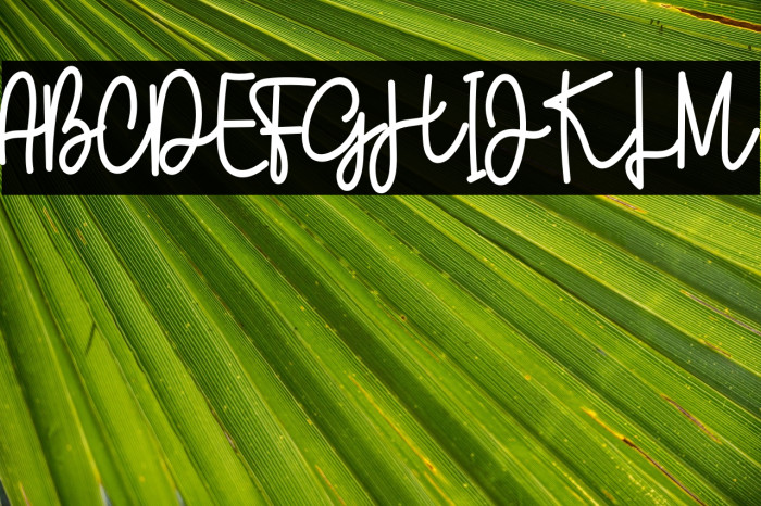 Wedding Handmade Example 3