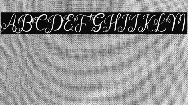 Wedding Invitation Font examples