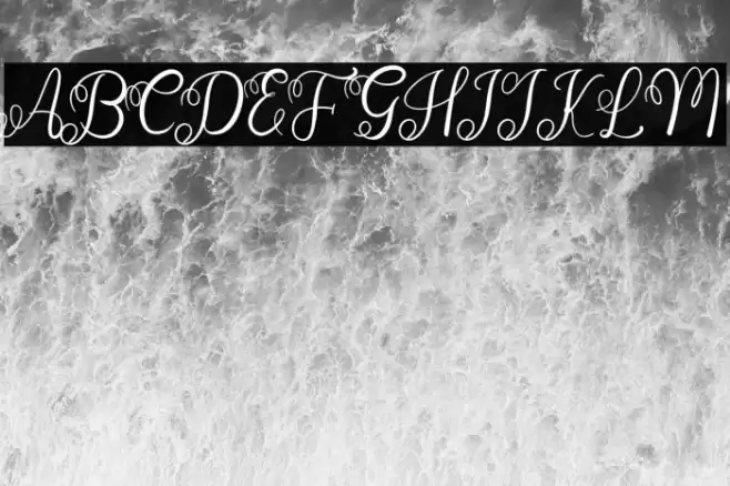 Wedding Invitation Font examples