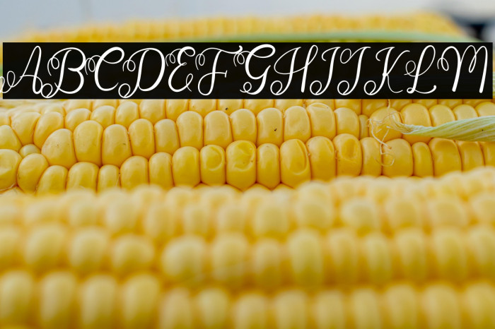 Wedding Invitation Example 3