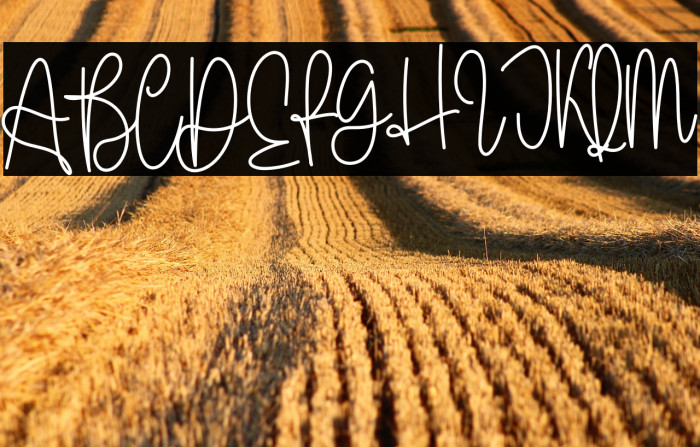 Wedding Is Comming Example 1