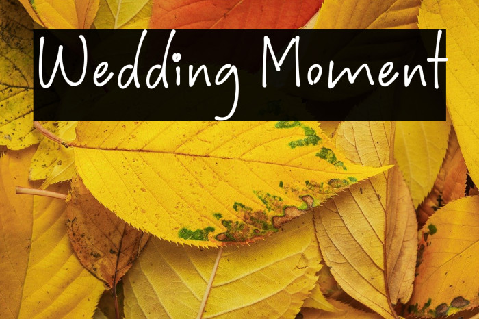 Wedding Moment Example 2