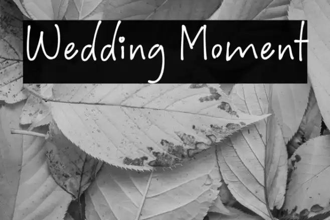 Wedding Moment Fuentes examples