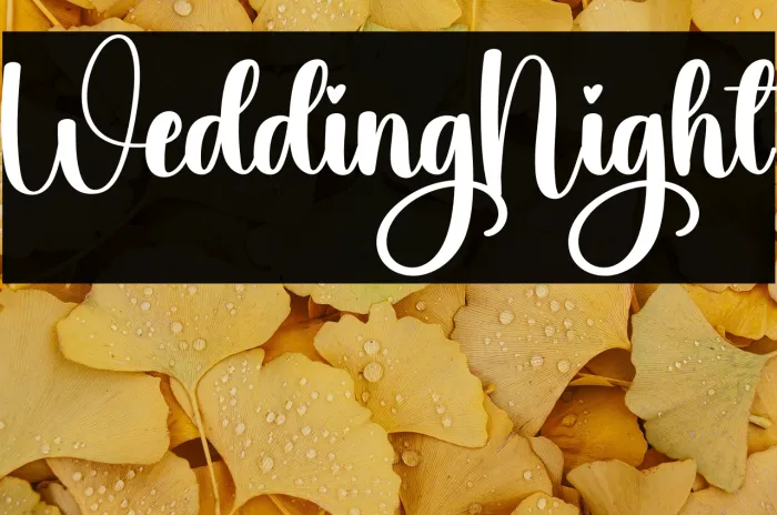 Wedding Night Example 2