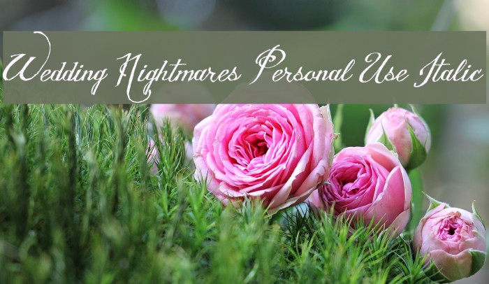 Wedding Nightmares Personal Use Italic Font examples