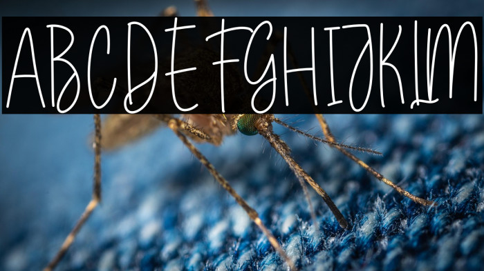 Wedding Package Example 1