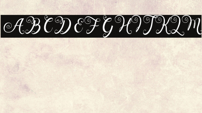 Wedding Paradise Example 1