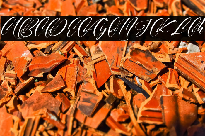 Wedding Party Example 3