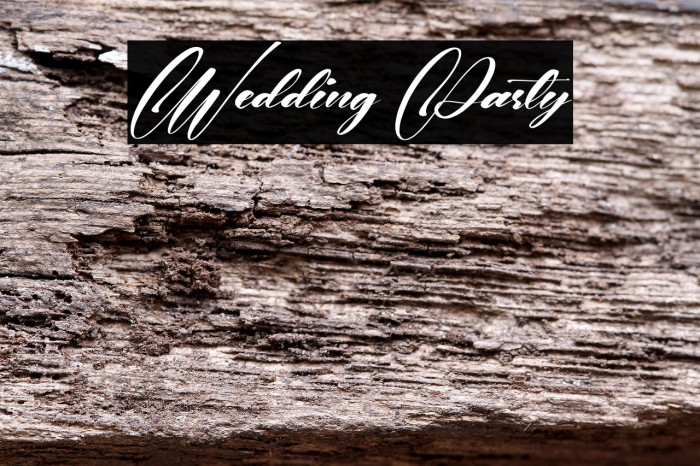 Wedding Party Example 1