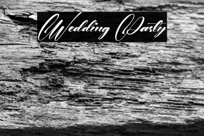 Wedding Party Font examples