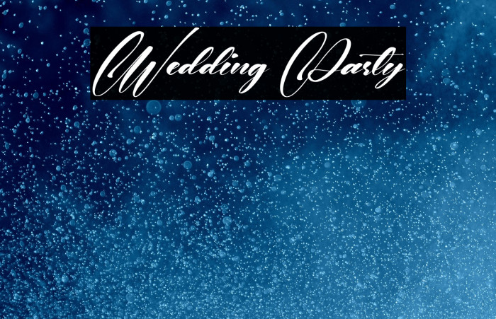 Wedding Party Example 2
