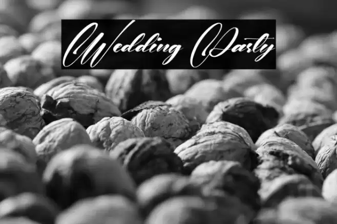 Wedding Party Font examples