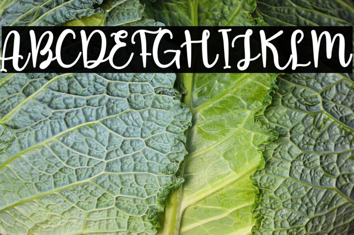 Wedding Samantha Example 1