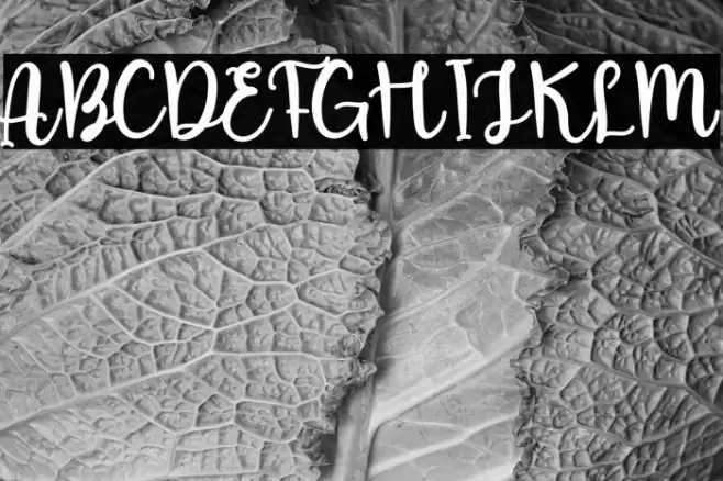 Wedding Samantha خط examples