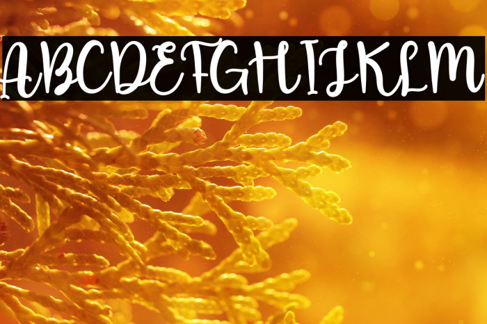 Wedding Samantha Example 3