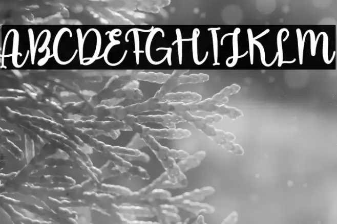 Wedding Samantha خط examples