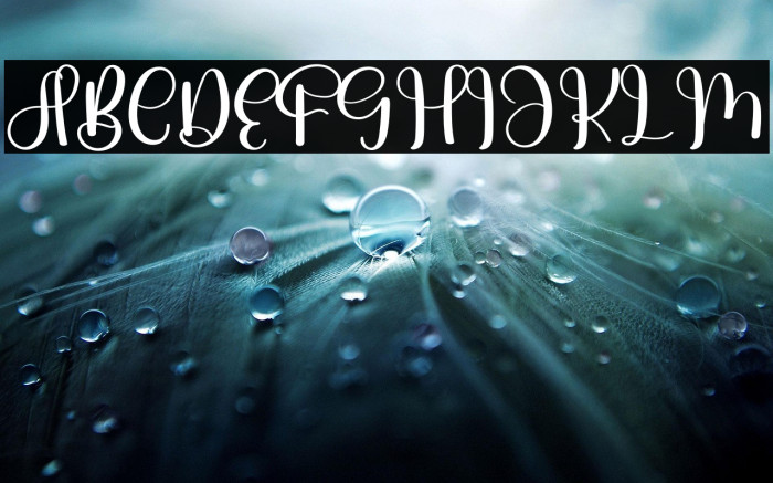 Wedding Vintage Example 3