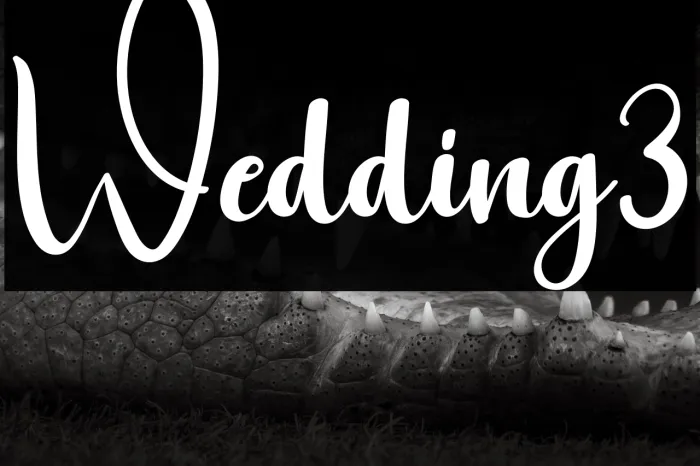 Wedding3 Example 1