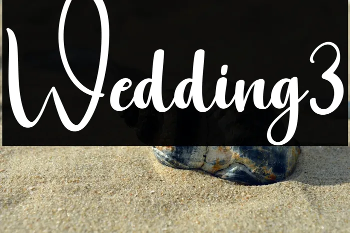 Wedding3 Example 2