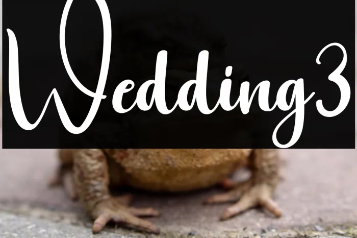 Wedding3 Example 3