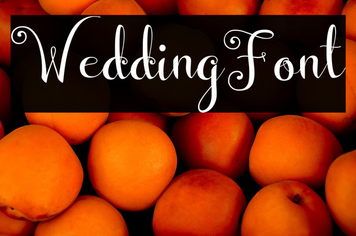 WeddingFont Example 1