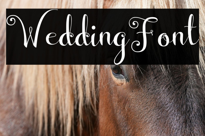 WeddingFont Example 2