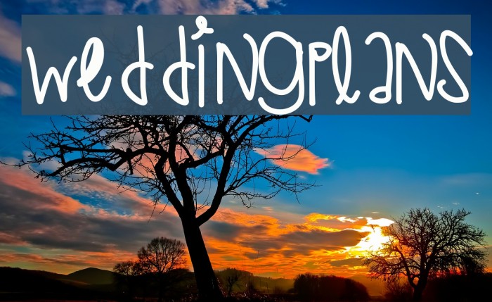 WeddingPlans Font examples