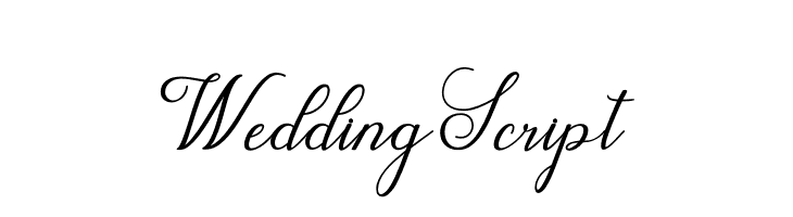 WeddingScript  Скачать бесплатные шрифты