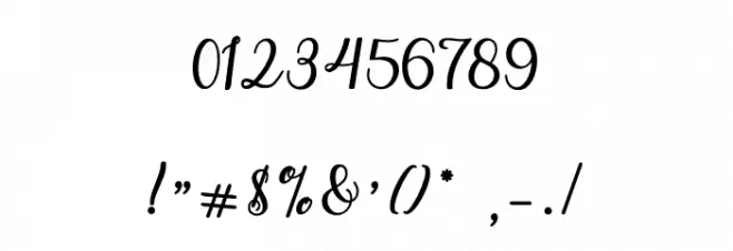 WeddingScript Font OTHER CHARS