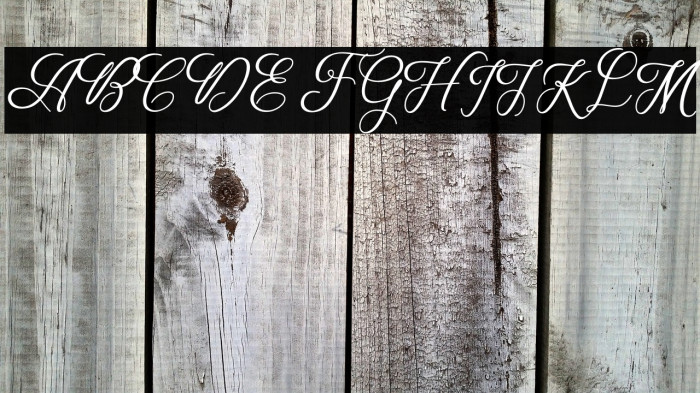 WeddingScript Example 1