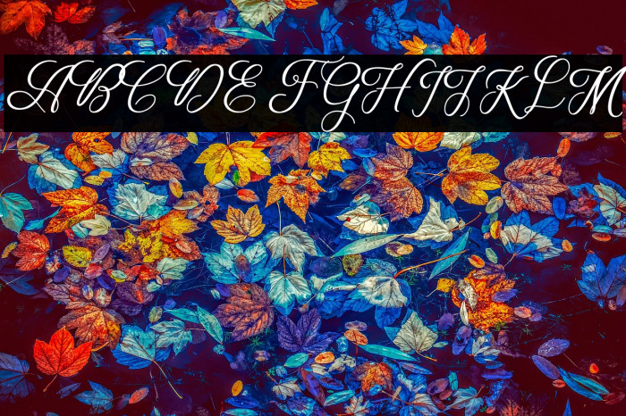 WeddingScript Example 3