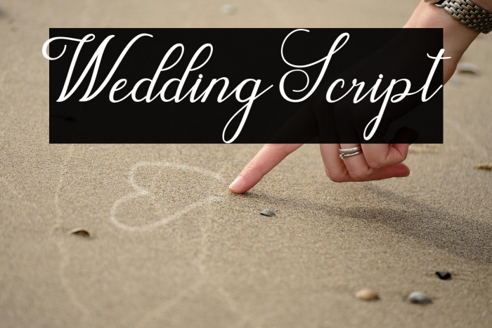 WeddingScript Example 1