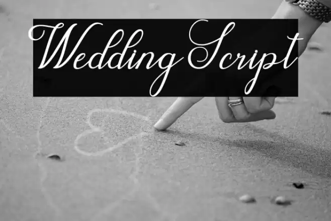 WeddingScript Font examples