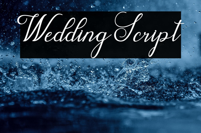WeddingScript Example 2
