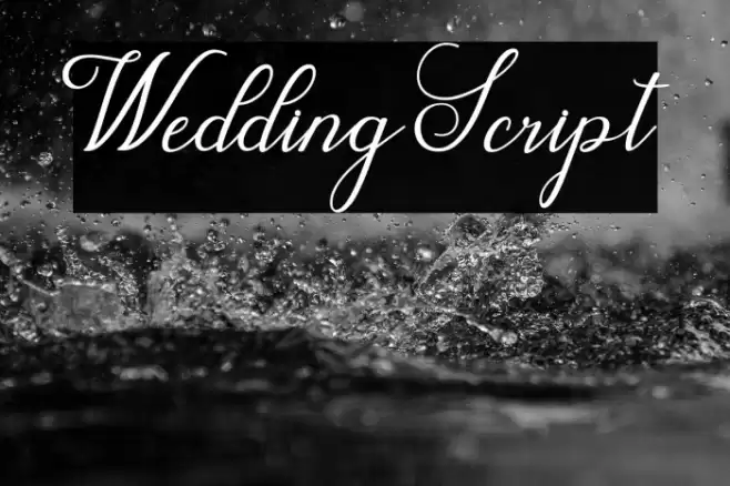 WeddingScript Font examples
