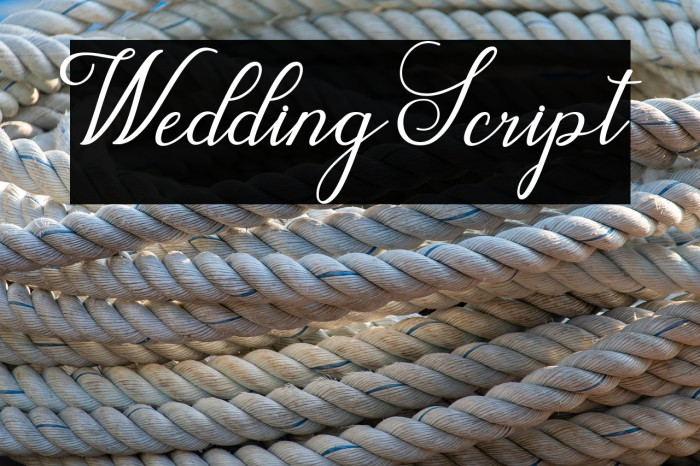WeddingScript Example 3