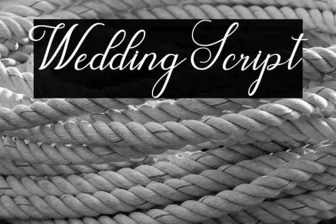 WeddingScript Font examples