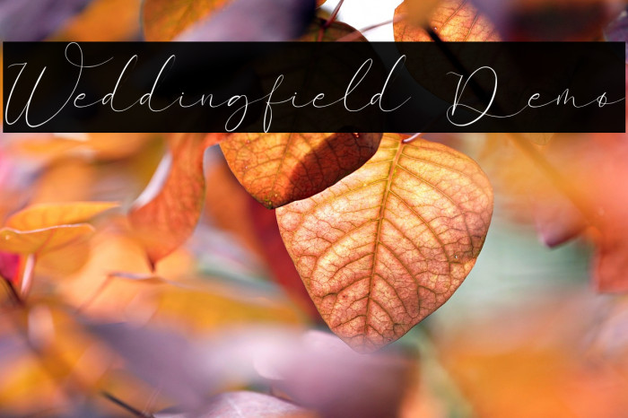 Weddingfield Demo Example 1