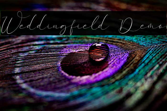 Weddingfield Demo Example 3