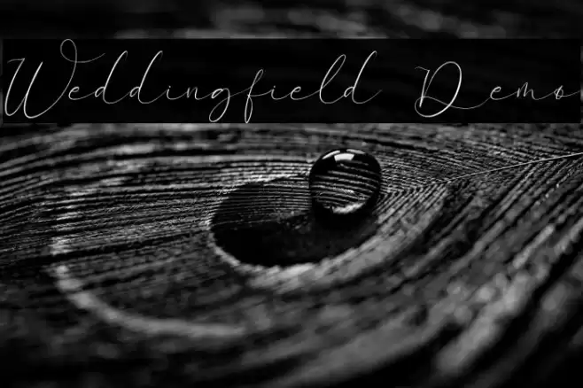 Weddingfield Demo Caratteri examples