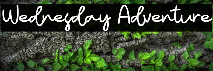 Wednesday Adventure Example 1