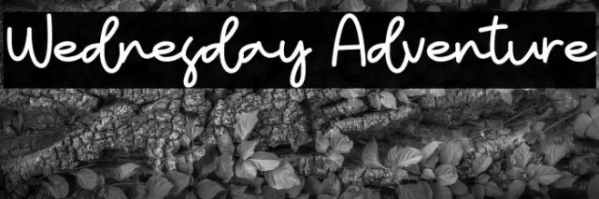 Wednesday Adventure خط examples