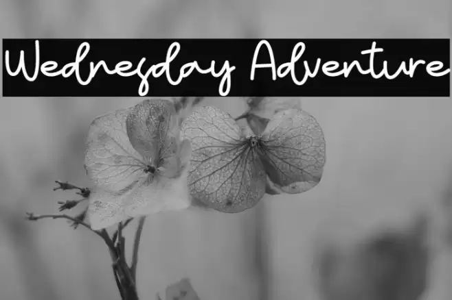 Wednesday Adventure خط examples