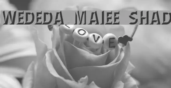 Wednesday Matinee Shadow Font examples