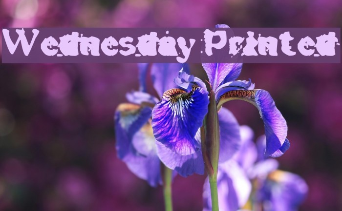 Wednesday Printed Font examples