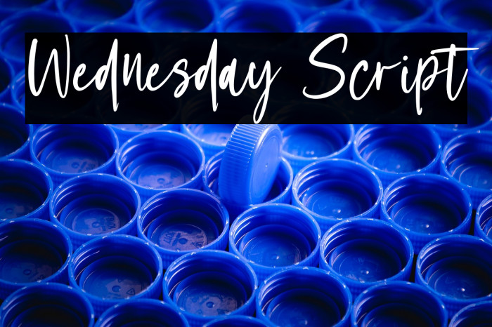 Wednesday Script Example 1