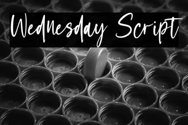 Wednesday Script Fuentes examples