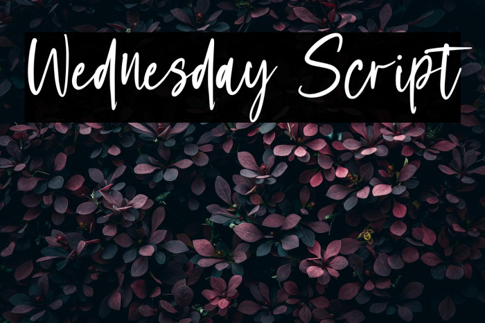 Wednesday Script Example 2